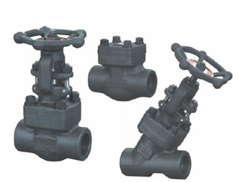 Forged Valves